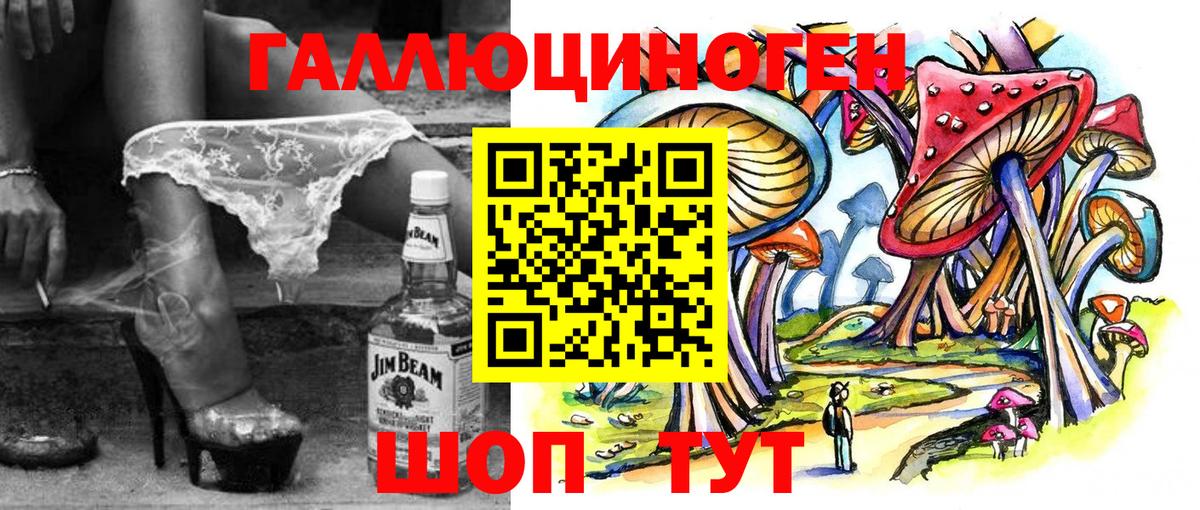Псилоцибиновые грибы Psilocybe Дербент