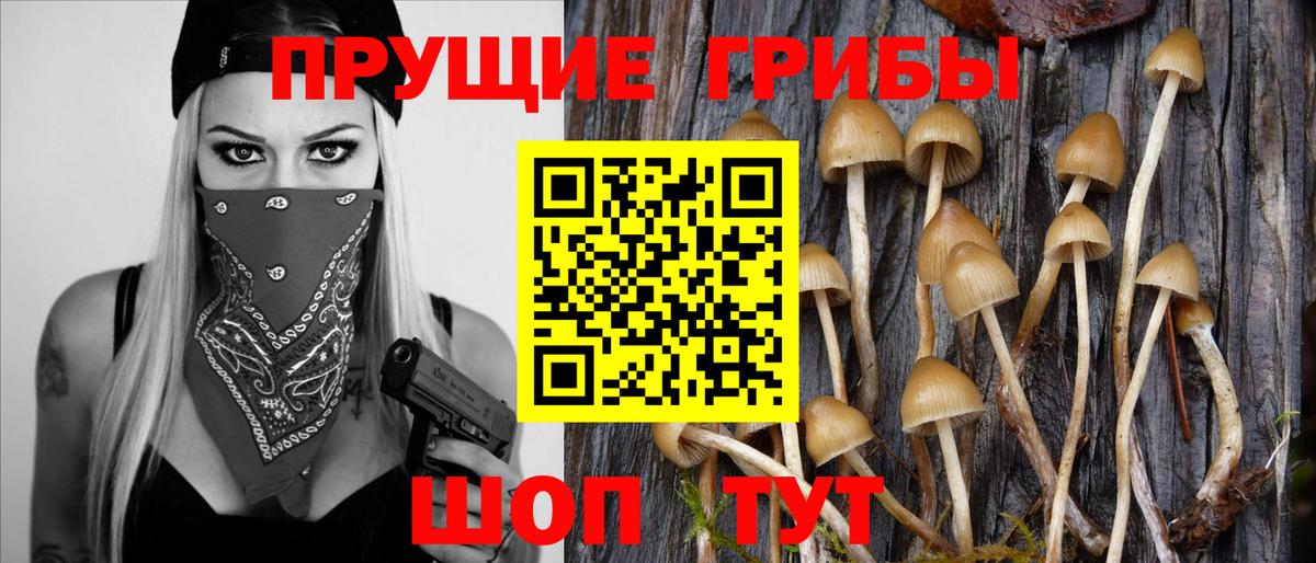 Магазин наркотиков  ГАШИШ  Вход с VPN  МАРИХУАНА  Cocaine  АМФЕТАМИН кристаллы  Дербент  A PVP СОЛЬ кристаллы  МЕФ кристаллы 