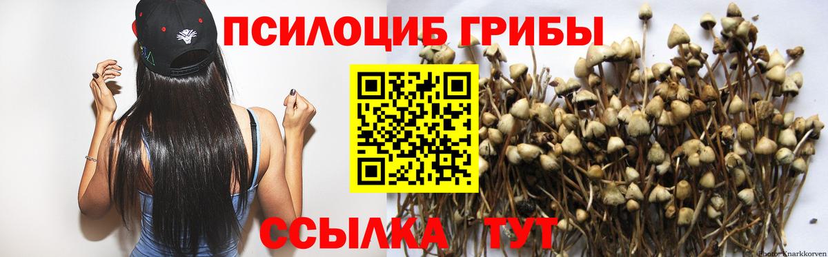Галлюциногенные грибы мицелий  Вход с VPN  наркота  Дербент 